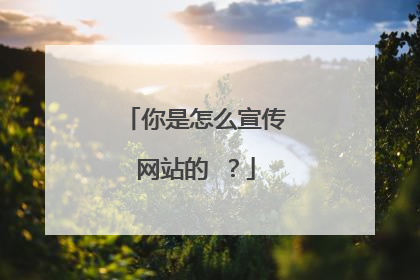 你是怎么宣传网站的 ?