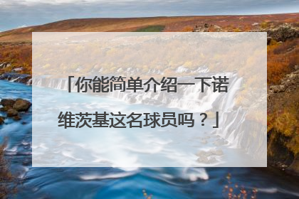 你能简单介绍一下诺维茨基这名球员吗？