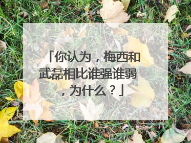 你认为，梅西和武磊相比谁强谁弱，为什么？