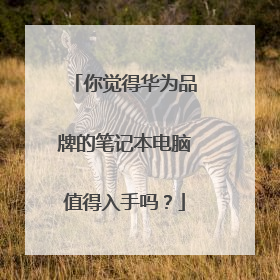 你觉得华为品牌的笔记本电脑值得入手吗?