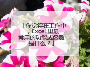 你觉得在工作中,Excel里最常用的功能或函数是什么?