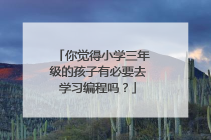 你觉得小学三年级的孩子有必要去学习编程吗?