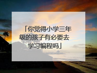 你觉得小学三年级的孩子有必要去学习编程吗
