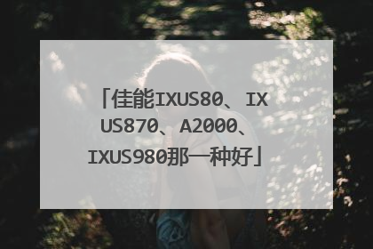 佳能IXUS80、IXUS870、A2000、IXUS980那一种好