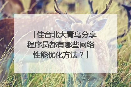 佳音北大青鸟分享程序员都有哪些网络性能优化方法？