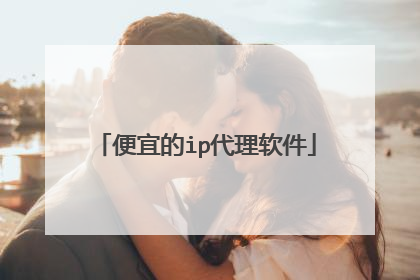 便宜的ip代理软件