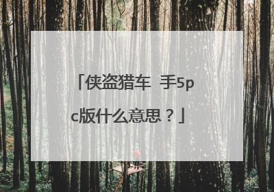 侠盗猎车 手5pc版什么意思?