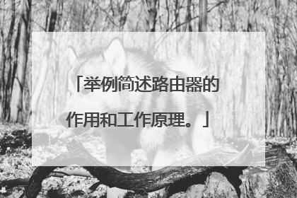 举例简述路由器的作用和工作原理。