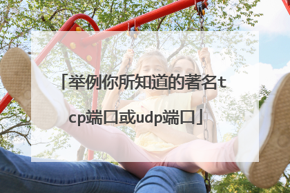 举例你所知道的著名tcp端口或udp端口