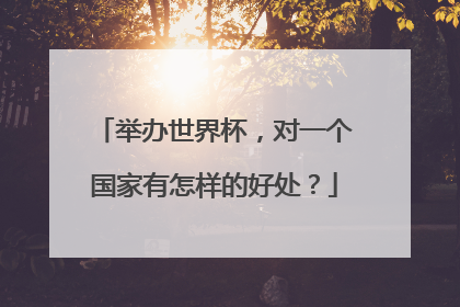 举办世界杯,对一个国家有怎样的好处?