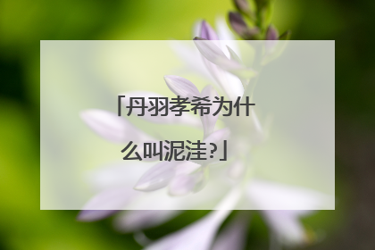 丹羽孝希为什么叫泥洼?