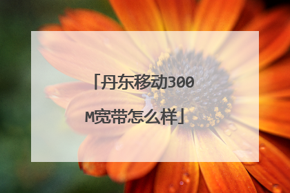 丹东移动300M宽带怎么样