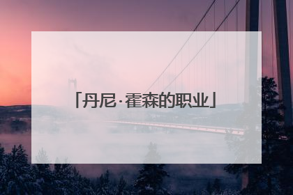 丹尼·霍森的职业