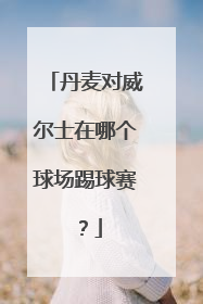 丹麦对威尔士在哪个球场踢球赛？