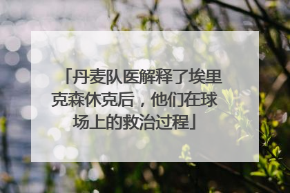 丹麦队医解释了埃里克森休克后,他们在球场上的救治过程