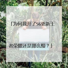 为何我开了5G更新王者荣耀还是那么慢？