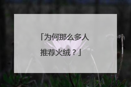 为何那么多人推荐火绒?