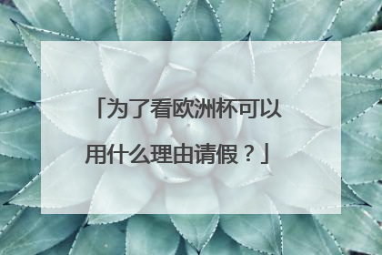 为了看欧洲杯可以用什么理由请假？