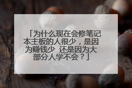 为什么现在会修笔记本主板的人很少，是因为赚钱少 还是因为大部分人学不会？