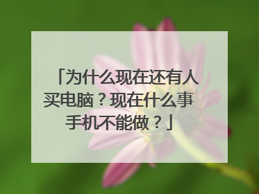 为什么现在还有人买电脑?现在什么事手机不能做?
