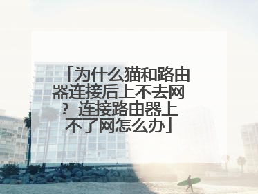 为什么猫和路由器连接后上不去网? 连接路由器上不了网怎么办