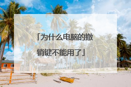 为什么电脑的撤销键不能用了