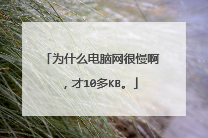 为什么电脑网很慢啊,才10多KB。
