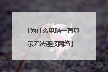 为什么电脑一直显示无法连接网络