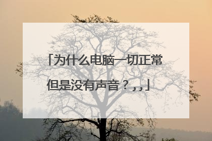 为什么电脑一切正常但是没有声音?,,