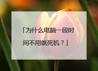 为什么电脑一段时间不用就死机?