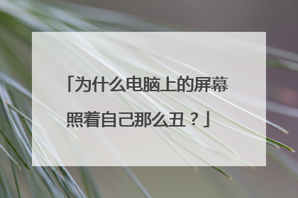 为什么电脑上的屏幕照着自己那么丑？