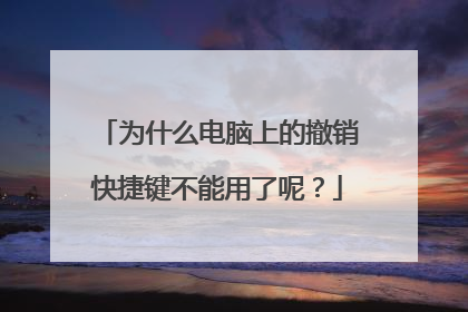 为什么电脑上的撤销快捷键不能用了呢?
