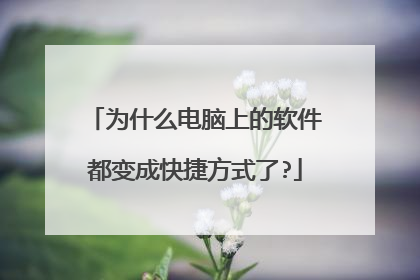 为什么电脑上的软件都变成快捷方式了?