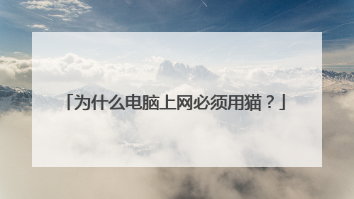 为什么电脑上网必须用猫？