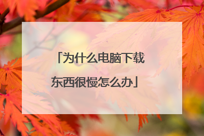为什么电脑下载东西很慢怎么办