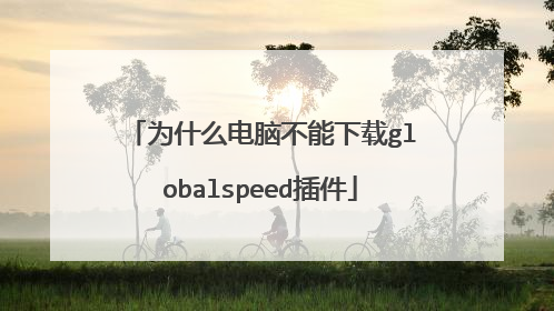 为什么电脑不能下载globalspeed插件