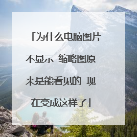 为什么电脑图片不显示 缩略图原来是能看见的 现在变成这样了