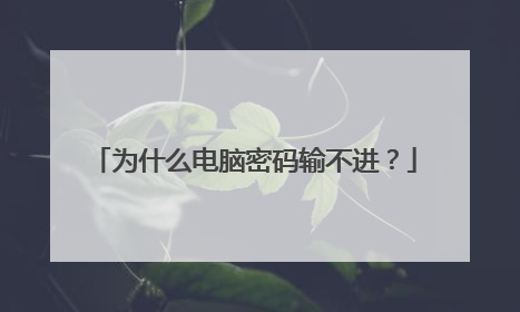 为什么电脑密码输不进?