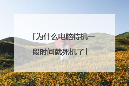 为什么电脑待机一段时间就死机了