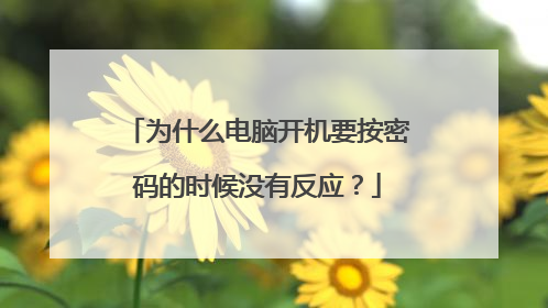 为什么电脑开机要按密码的时候没有反应？