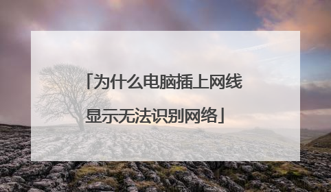 为什么电脑插上网线显示无法识别网络