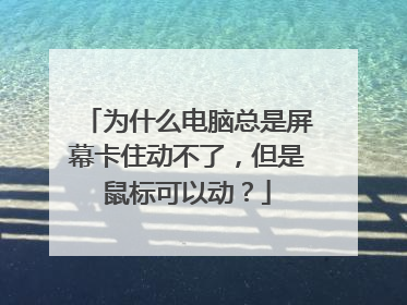 为什么电脑总是屏幕卡住动不了，但是鼠标可以动？