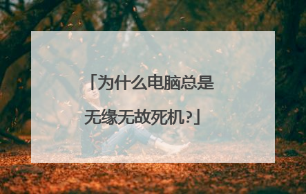 为什么电脑总是无缘无故死机?