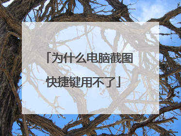 为什么电脑截图快捷键用不了