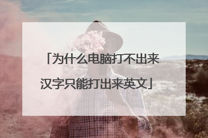 为什么电脑打不出来汉字只能打出来英文
