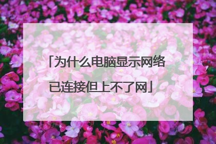 为什么电脑显示网络已连接但上不了网