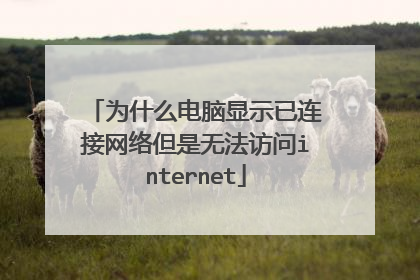 为什么电脑显示已连接网络但是无法访问internet