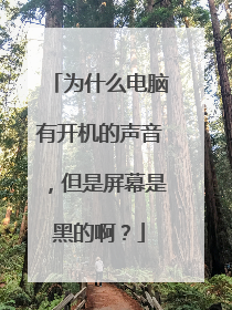 为什么电脑有开机的声音,但是屏幕是黑的啊?