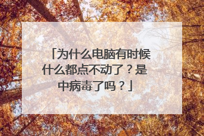 为什么电脑有时候什么都点不动了?是中病毒了吗?