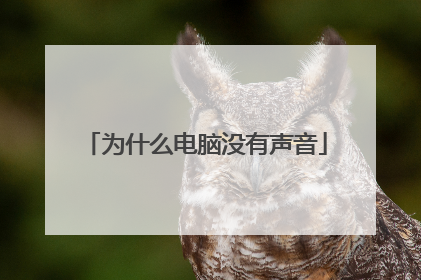 为什么电脑没有声音